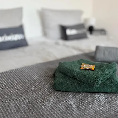 Modern & Spacious Carhandling Campus -naehe Therme Erding -messe Muenchen -arena -free Parking -netflix -w-lan Appartamento *