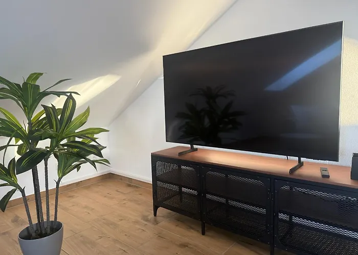 Modern & Spacious Carhandling Campus -naehe Therme Erding -messe Muenchen -arena -free Parking -netflix -w-lan Neufinsing